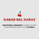 Kabab Bel Karaz
