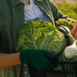 Strengthening Lebanese Livelihoods by Supporting Agricultural Production
