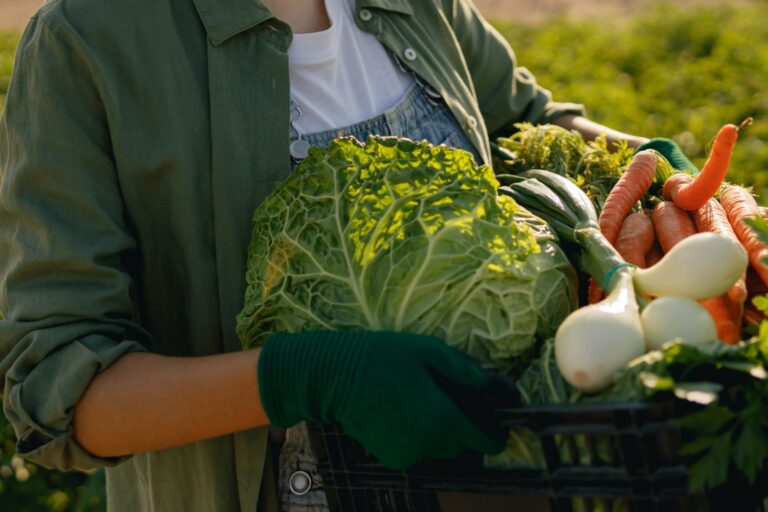 Strengthening Lebanese Livelihoods by Supporting Agricultural Production