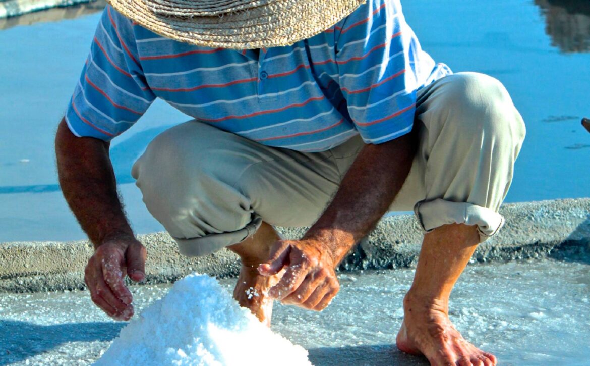 MEDARTSAL – SUSTAINABLE MANAGEMENT MODEL FOR MEDITERRANEAN ARTISANAL SALINAS