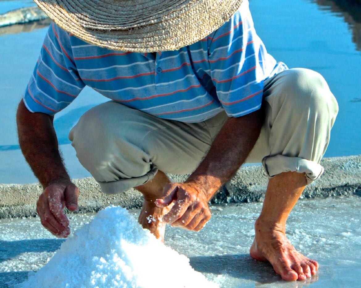 MEDARTSAL – SUSTAINABLE MANAGEMENT MODEL FOR MEDITERRANEAN ARTISANAL SALINAS