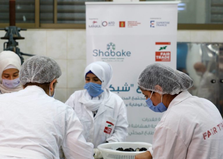 Strengthening Resilience of Lebanese Civil Society in Order to Improve Crisis Prevention and Management – Shabake