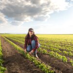 AFDAL-IV: Enhancing Agricultural Resilience and Economic Development in North Lebanon