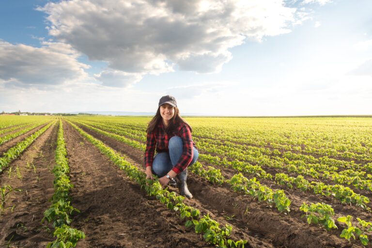 AFDAL-IV: Enhancing Agricultural Resilience and Economic Development in North Lebanon