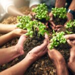 GREEN&FAIR Initiative Drives Economic Change in the Southern Mediterranean