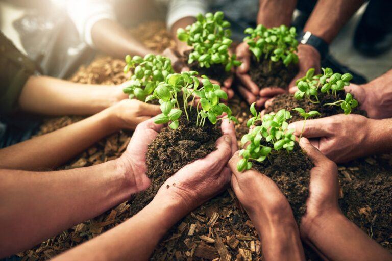 GREEN&FAIR Initiative Drives Economic Change in the Southern Mediterranean