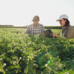 Tawazon Tabieh: Renforcer la résilience climatique et le développement agricole dans la Bekaa