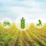 Tawazon Tabie: Enhancing Resilience Against Climate Change