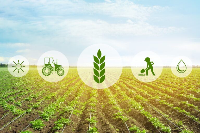 Tawazon Tabie: Enhancing Resilience Against Climate Change