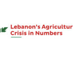 Lebanon’s Agricultural Crisis in Numbers