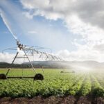 Supporting the Agricultural Sector in Zgharta through Local Innovation