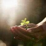 Eco-North: Building Climate-Resilient Communities Through Sustainable Agriculture
