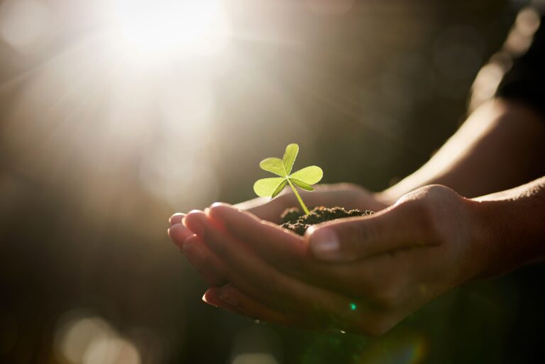 Eco-North: Building Climate-Resilient Communities Through Sustainable Agriculture