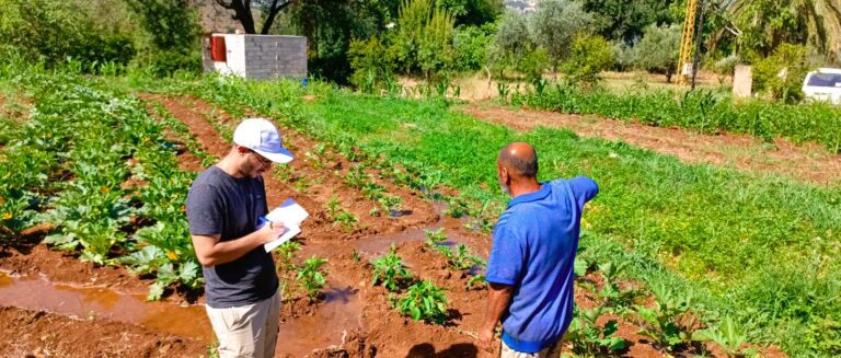 Food for Akkar - Phase II