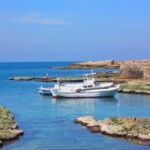 Nassim Al Baher