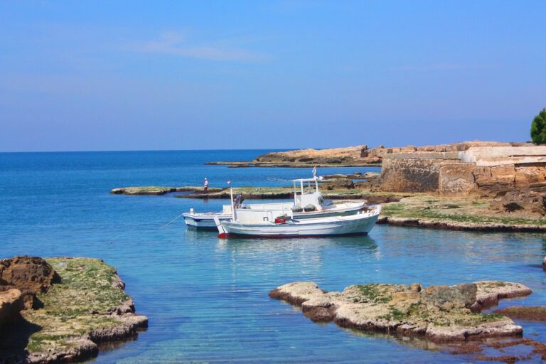 Nassim Al Baher