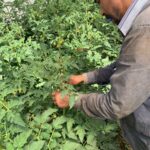 Green & Fair: Skills, Safety, and Sustainability in Action