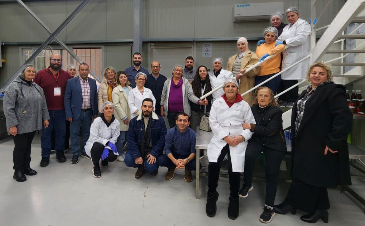 Aradina Newsletter Picture