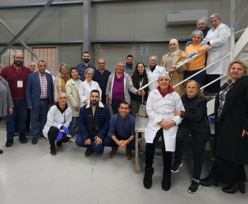 Aradina Newsletter Picture