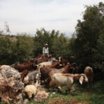 SILA – Skills and Innovation for Labor Advancement