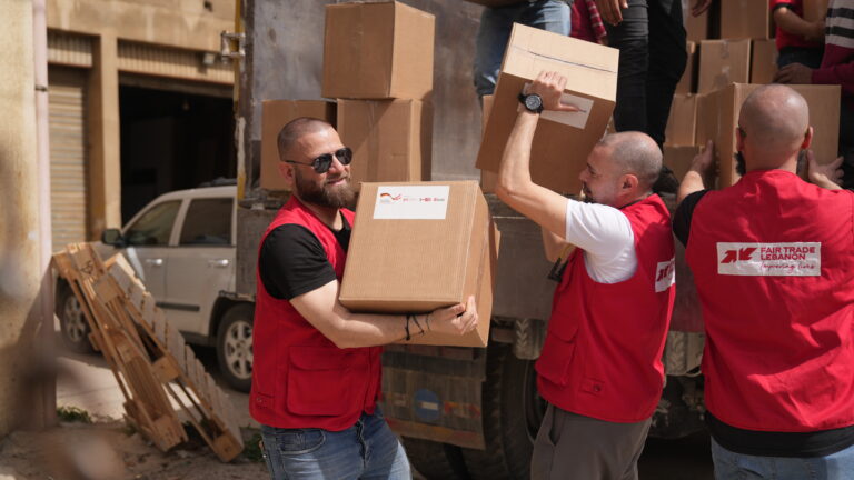 SAWA Project – Solidarity and Assistance for War-affected Populations and IDPS In Lebanon