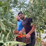 Training Youth to Lead Tomorrow’s Harvest with Tawazon Tabie
