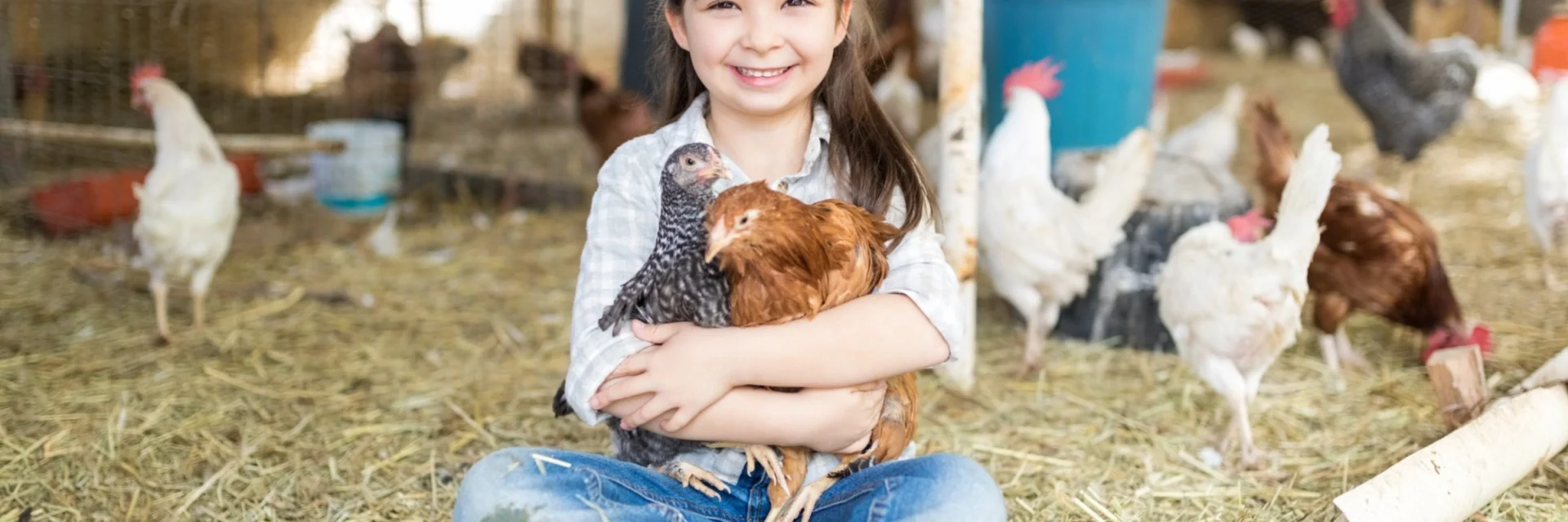 Food Safety in Times of Hardship