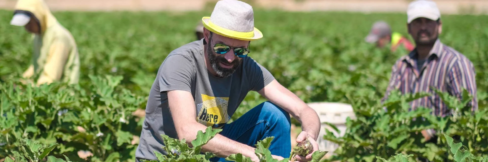 Provision of Direct Support to Farmer’s Cooperative in Qaa