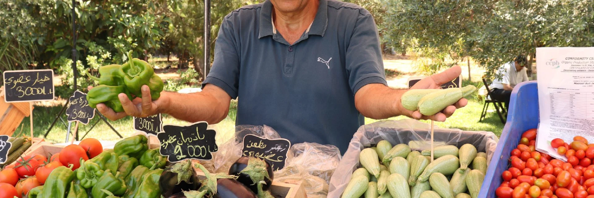 Capacity Building for the Fruits and Vegetables Market in Al-Qalaa Uom
