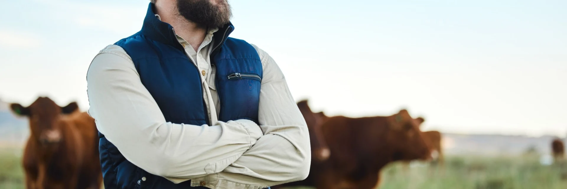 Feasibility Study for a Project to Support Agricultural Value Chains