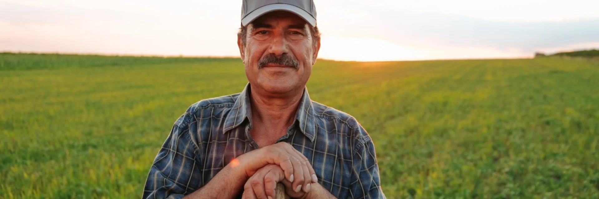 Support for the Structuring of the Fair Trade Sector in Lebanon as a Local Development Tool for Lebanon’s Rural Communities (Phase II)