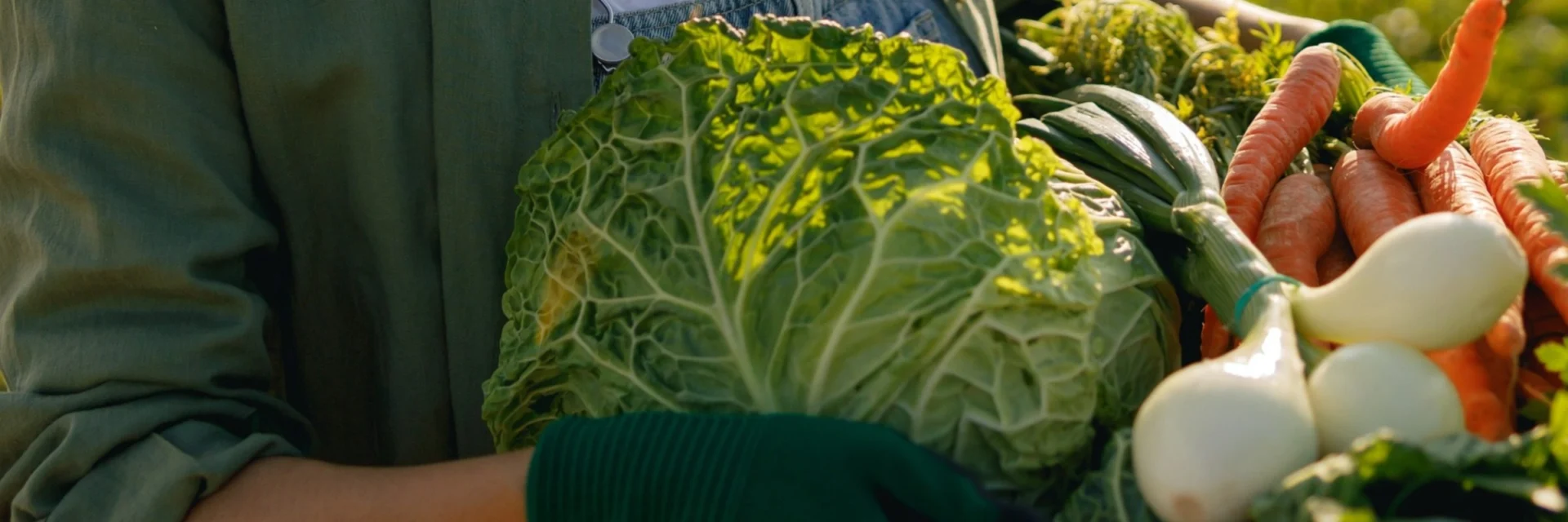 Strengthening Lebanese Livelihoods by Supporting Agricultural Production