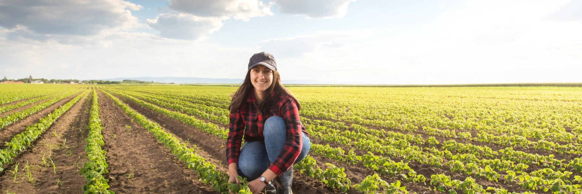AFDAL-IV: Enhancing Agricultural Resilience and Economic Development in North Lebanon