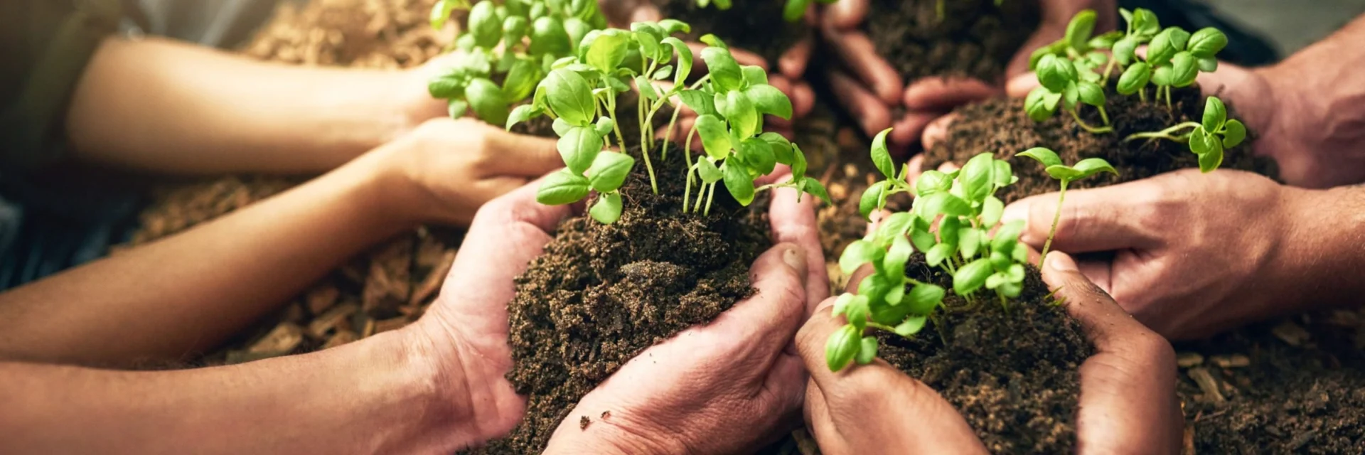 GREEN&FAIR Initiative Drives Economic Change in the Southern Mediterranean