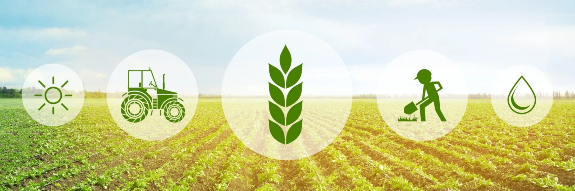 Tawazon Tabie: Enhancing Resilience Against Climate Change