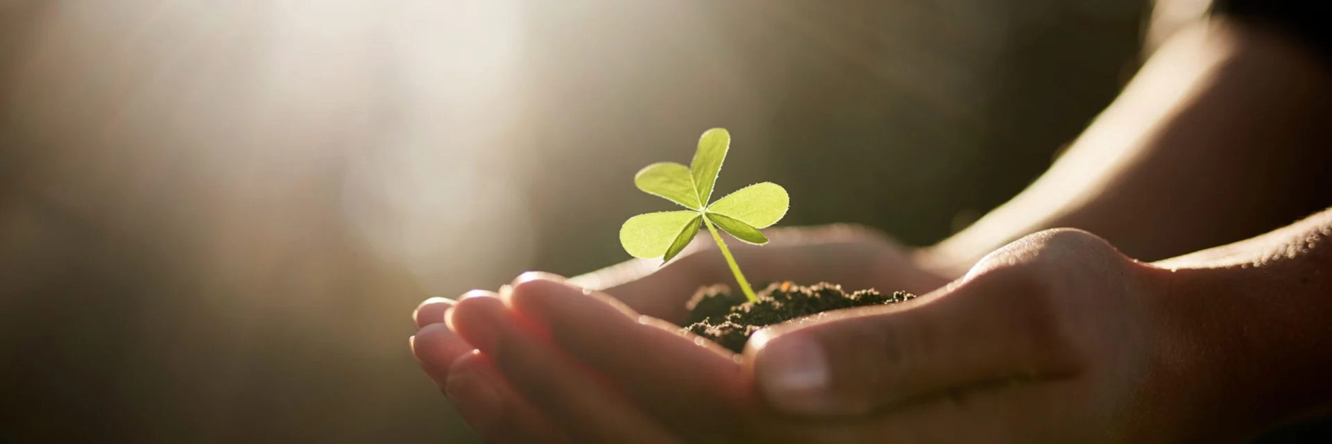 Eco-North: Building Climate-Resilient Communities Through Sustainable Agriculture