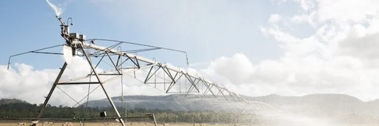 Supporting the Agricultural Sector in Zgharta through Local Innovation