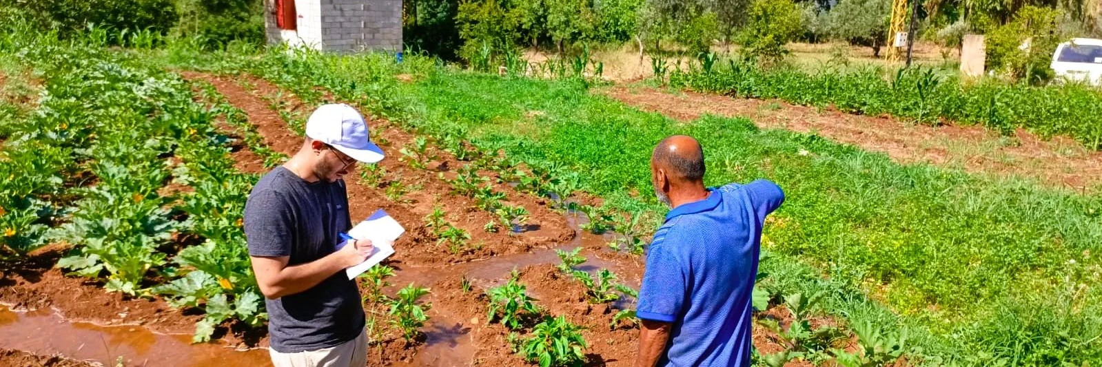 Food for Akkar - Phase II